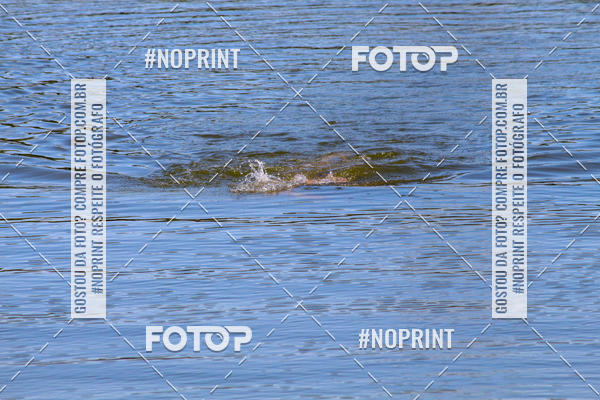 Buy your photos of the eventREVEZAMENTO 10K DE NATA��O JULIO VICU�A on Fotop