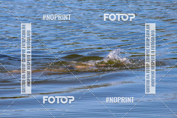 Buy your photos of the eventREVEZAMENTO 10K DE NATA��O JULIO VICU�A on Fotop