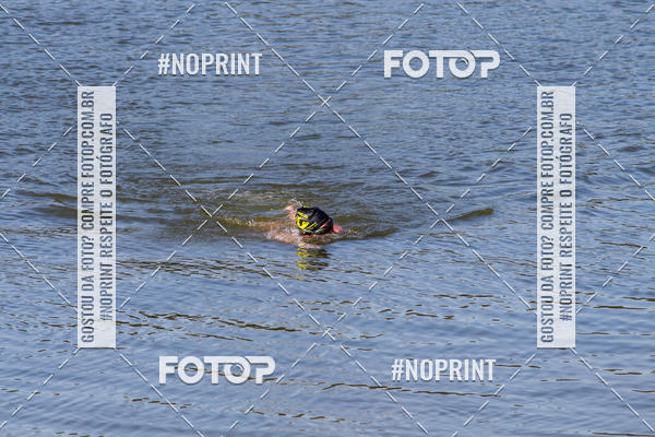 Buy your photos of the eventREVEZAMENTO 10K DE NATA��O JULIO VICU�A on Fotop