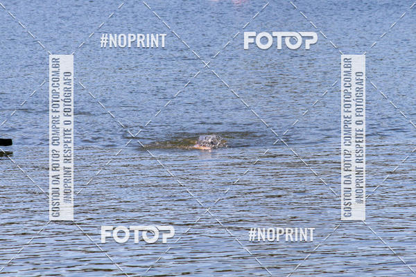 Buy your photos of the eventREVEZAMENTO 10K DE NATA��O JULIO VICU�A on Fotop