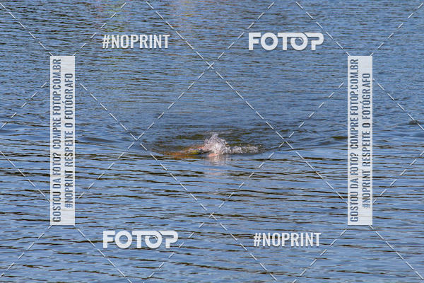 Buy your photos of the eventREVEZAMENTO 10K DE NATA��O JULIO VICU�A on Fotop