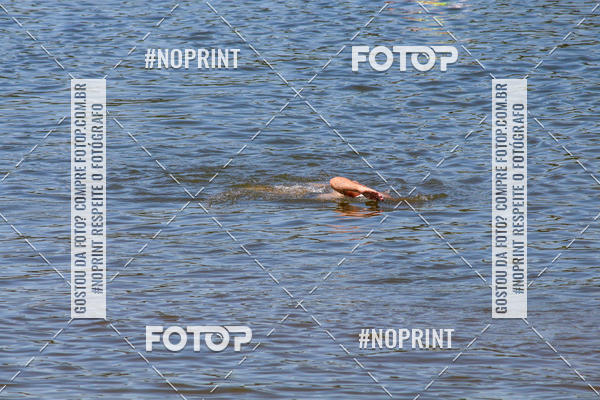 Buy your photos of the eventREVEZAMENTO 10K DE NATA��O JULIO VICU�A on Fotop