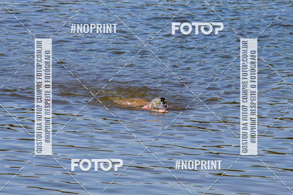 Buy your photos of the eventREVEZAMENTO 10K DE NATA��O JULIO VICU�A on Fotop