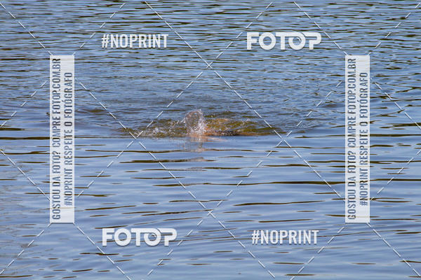 Buy your photos of the eventREVEZAMENTO 10K DE NATA��O JULIO VICU�A on Fotop