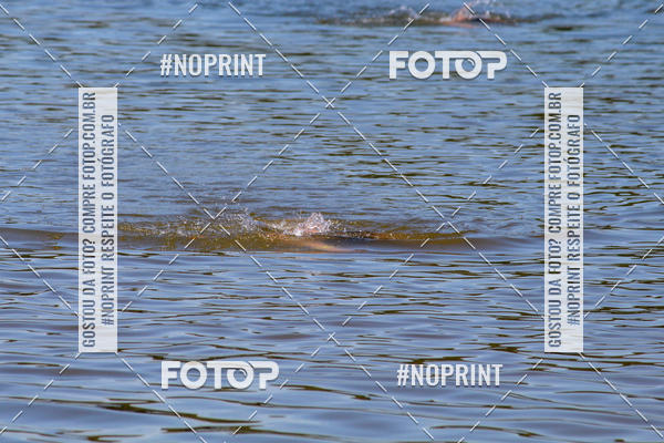 Buy your photos of the eventREVEZAMENTO 10K DE NATA��O JULIO VICU�A on Fotop