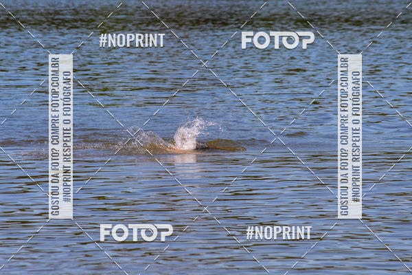 Buy your photos of the eventREVEZAMENTO 10K DE NATA��O JULIO VICU�A on Fotop