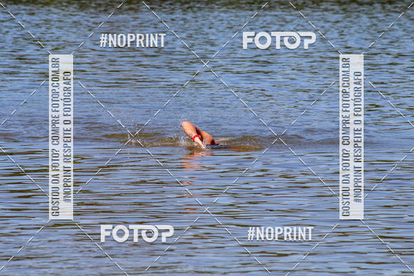 Buy your photos of the eventREVEZAMENTO 10K DE NATA��O JULIO VICU�A on Fotop