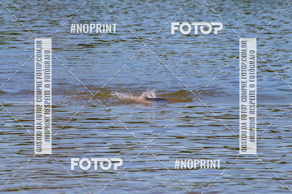 Buy your photos of the eventREVEZAMENTO 10K DE NATA��O JULIO VICU�A on Fotop