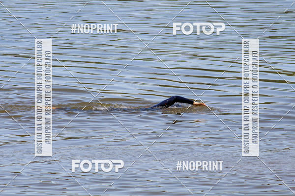 Buy your photos of the eventREVEZAMENTO 10K DE NATA��O JULIO VICU�A on Fotop