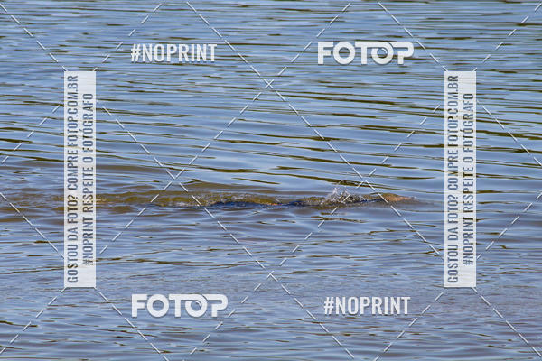 Buy your photos of the eventREVEZAMENTO 10K DE NATA��O JULIO VICU�A on Fotop