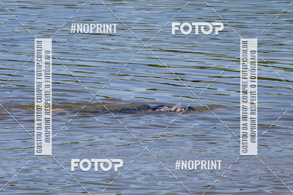 Buy your photos of the eventREVEZAMENTO 10K DE NATA��O JULIO VICU�A on Fotop