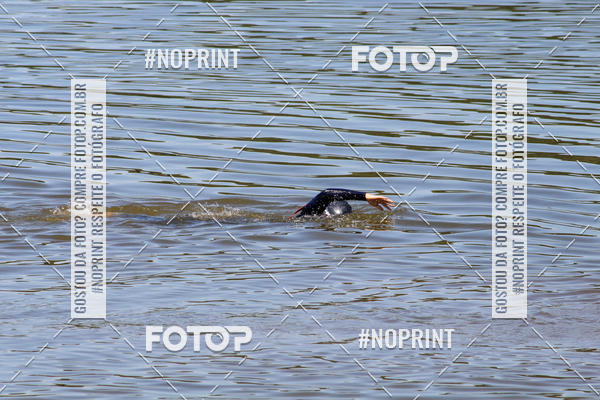 Buy your photos of the eventREVEZAMENTO 10K DE NATA��O JULIO VICU�A on Fotop