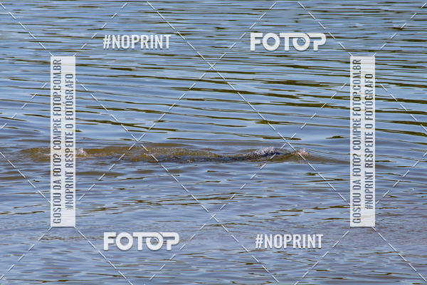 Buy your photos of the eventREVEZAMENTO 10K DE NATA��O JULIO VICU�A on Fotop