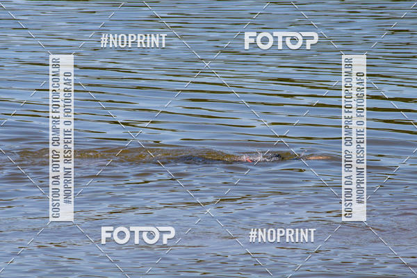 Buy your photos of the eventREVEZAMENTO 10K DE NATA��O JULIO VICU�A on Fotop