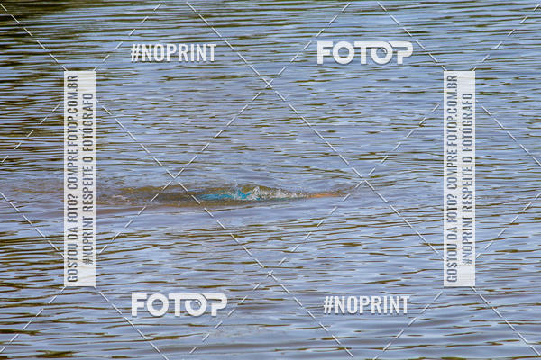 Buy your photos of the eventREVEZAMENTO 10K DE NATA��O JULIO VICU�A on Fotop