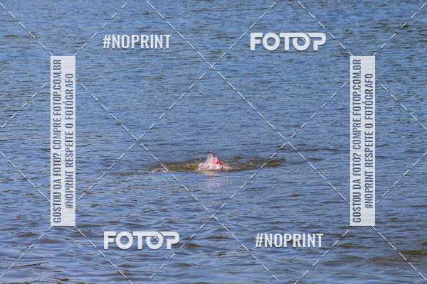 Compre suas fotos do eventoREVEZAMENTO 10K DE NATA��O JULIO VICU�A no Fotop