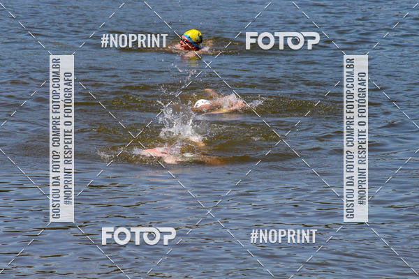 Buy your photos of the eventREVEZAMENTO 10K DE NATA��O JULIO VICU�A on Fotop
