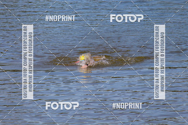 Buy your photos of the eventREVEZAMENTO 10K DE NATA��O JULIO VICU�A on Fotop