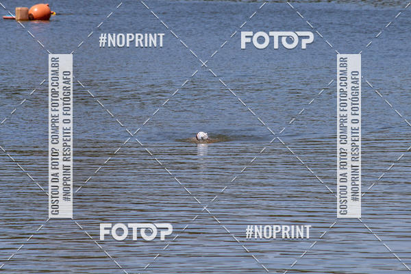 Acquista le foto dell'eventoREVEZAMENTO 10K DE NATA��O JULIO VICU�A in Fotop