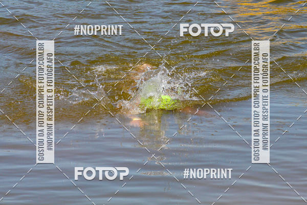 Buy your photos of the eventREVEZAMENTO 10K DE NATA��O JULIO VICU�A on Fotop