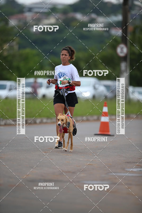 Buy your photos of the eventCircuito Poa Day Run on Fotop