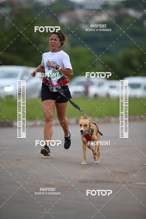 Buy your photos of the eventCircuito Poa Day Run on Fotop