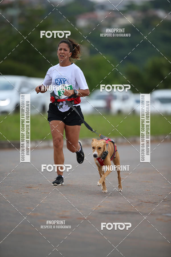 Buy your photos of the eventCircuito Poa Day Run on Fotop