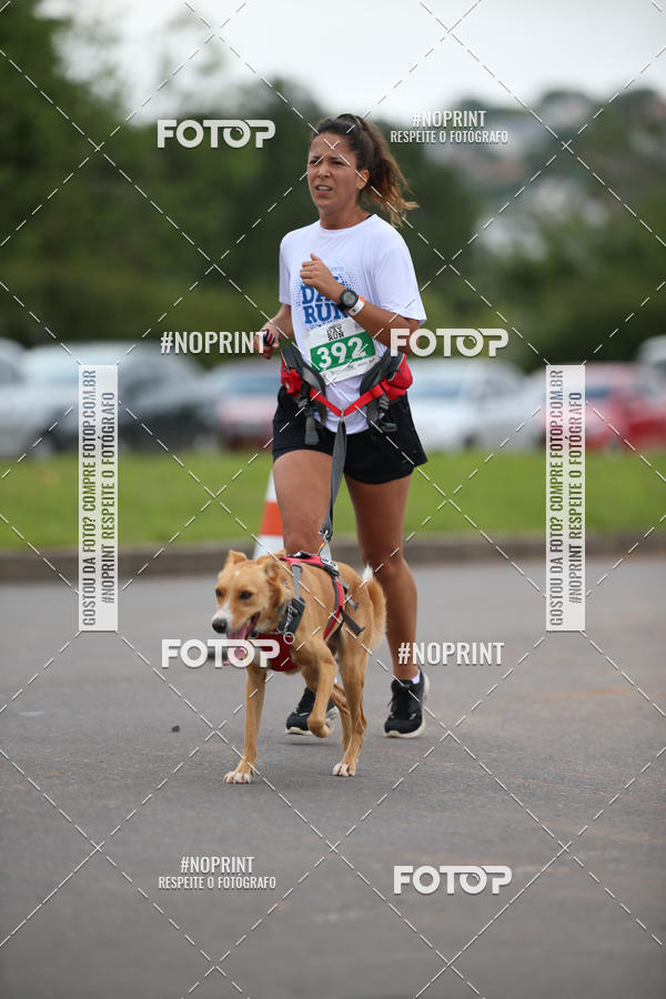 Buy your photos of the eventCircuito Poa Day Run on Fotop