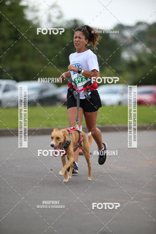 Buy your photos of the eventCircuito Poa Day Run on Fotop