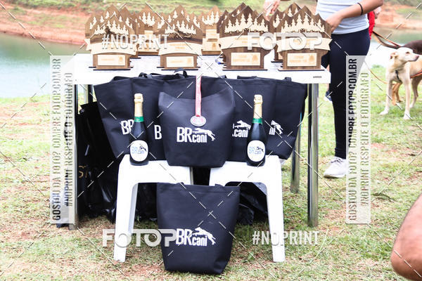 Acquista le foto dell'eventoKaluan� Trail e Canicross - Irisphoto in Fotop