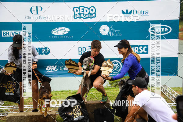 Buy your photos of the eventKaluan� Trail e Canicross - Irisphoto on Fotop