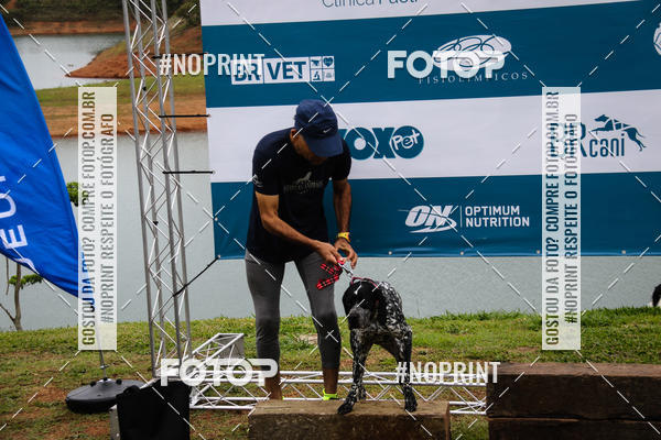 Buy your photos of the eventKaluan� Trail e Canicross - Irisphoto on Fotop