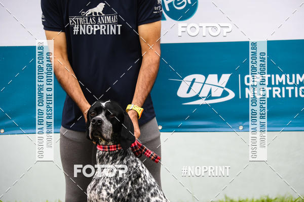 Buy your photos of the eventKaluan� Trail e Canicross - Irisphoto on Fotop