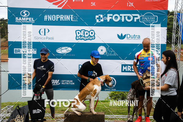 Buy your photos of the eventKaluan� Trail e Canicross - Irisphoto on Fotop