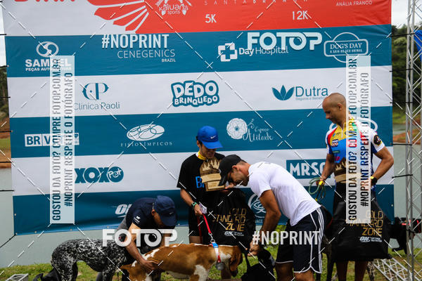 Buy your photos of the eventKaluan� Trail e Canicross - Irisphoto on Fotop