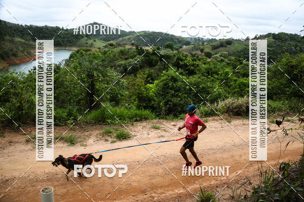 Buy your photos of the eventKaluan� Trail e Canicross - Irisphoto on Fotop