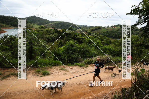 Buy your photos of the eventKaluan� Trail e Canicross - Irisphoto on Fotop