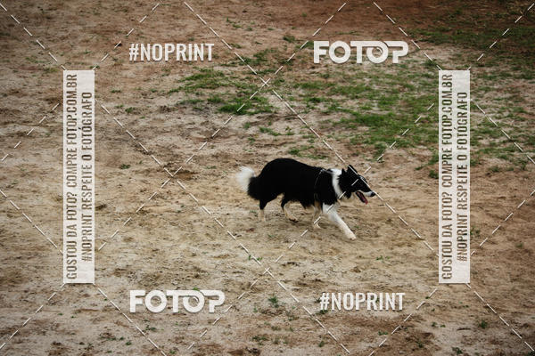 Buy your photos of the eventKaluan� Trail e Canicross - Irisphoto on Fotop