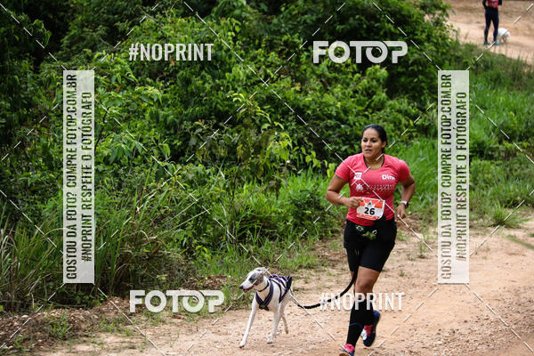 Buy your photos of the eventKaluan� Trail e Canicross - Irisphoto on Fotop