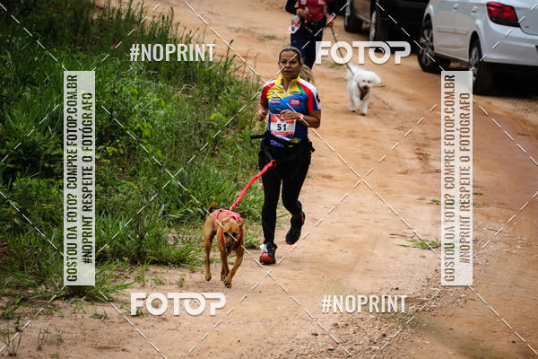 Buy your photos of the eventKaluan� Trail e Canicross - Irisphoto on Fotop