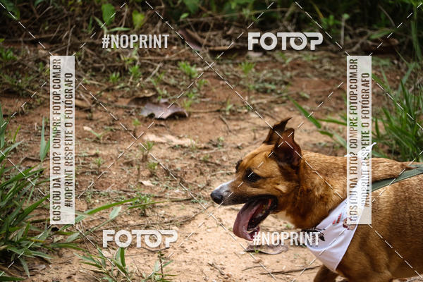 Buy your photos of the eventKaluan� Trail e Canicross - Irisphoto on Fotop