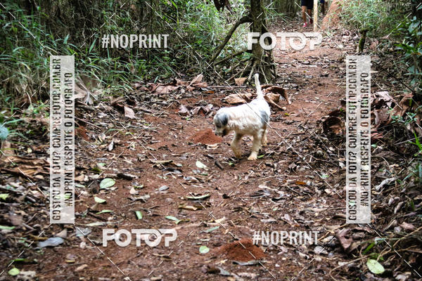 Buy your photos of the eventKaluan� Trail e Canicross - Irisphoto on Fotop