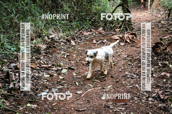 Buy your photos of the eventKaluan� Trail e Canicross - Irisphoto on Fotop