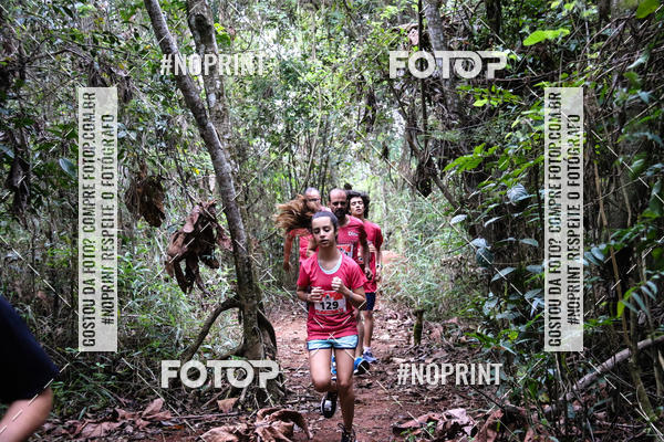 Buy your photos of the eventKaluan� Trail e Canicross - Irisphoto on Fotop