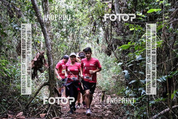 Buy your photos of the eventKaluan� Trail e Canicross - Irisphoto on Fotop