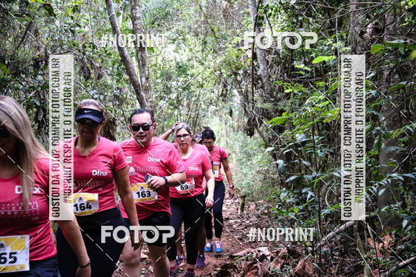 Buy your photos of the eventKaluan� Trail e Canicross - Irisphoto on Fotop