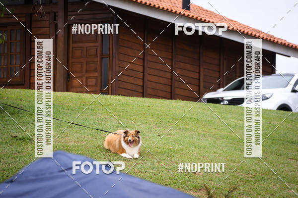 Buy your photos of the eventKaluan� Trail e Canicross - Irisphoto on Fotop