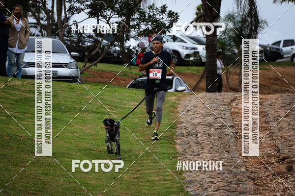 Buy your photos of the eventKaluan� Trail e Canicross - Irisphoto on Fotop