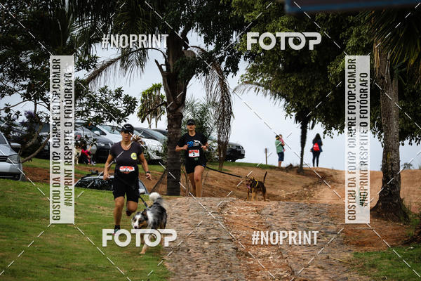 Buy your photos of the eventKaluan� Trail e Canicross - Irisphoto on Fotop