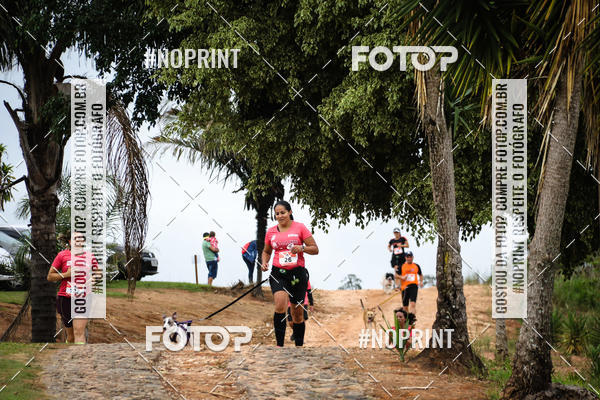 Buy your photos of the eventKaluan� Trail e Canicross - Irisphoto on Fotop